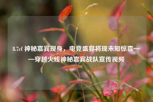 8.7cf 神秘嘉宾现身，电竞盛宴将现未知惊喜——穿越火线神秘嘉宾战队宣传视频