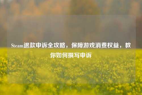 Steam退款申诉全攻略，保障游戏消费权益，教你如何撰写申诉