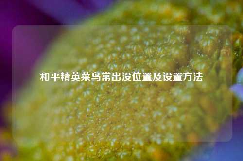 和平精英菜鸟常出没位置及设置方法