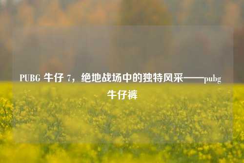 PUBG 牛仔 7,绝地战场中的独特风采——pubg 牛仔裤