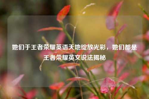 她们于王者荣耀英语天地绽放光彩,她们都是王者荣耀英文说法揭秘