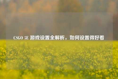 CSGO 5E 游戏设置全解析,如何设置得好看