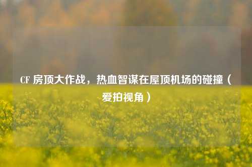 CF 房顶大作战,热血智谋在屋顶机场的碰撞(爱拍视角)