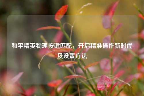 和平精英物理按键匹配,开启精准操作新时代及设置方法