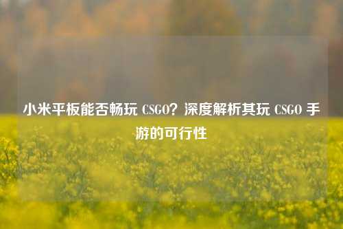 小米平板能否畅玩 CSGO？深度解析其玩 CSGO 手游的可行性