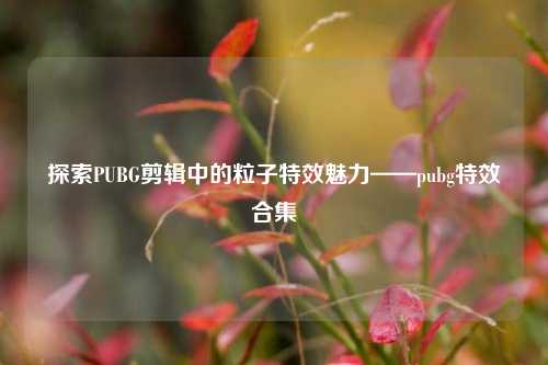 探索PUBG剪辑中的粒子特效魅力——pubg特效合集