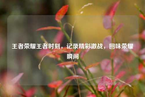 王者荣耀王者时刻,记录精彩激战,回味荣耀瞬间