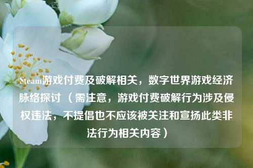 Steam游戏付费及破解相关，数字世界游戏经济脉络探讨 （需注意，游戏付费破解行为涉及侵权违法，不提倡也不应该被关注和宣扬此类非法行为相关内容）
