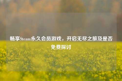 畅享Steam永久会员游戏，开启无尽之旅及是否免费探讨