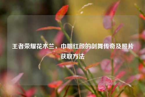 王者荣耀花木兰，巾帼红颜的剑舞传奇及照片获取方法