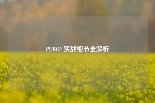 PUBG2 实战细节全解析