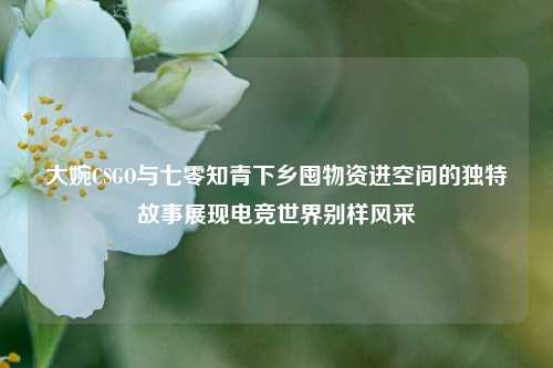 大婉CSGO与七零知青下乡囤物资进空间的独特故事展现电竞世界别样风采