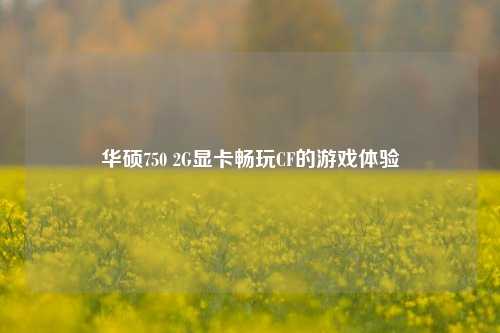 华硕750 2G显卡畅玩CF的游戏体验
