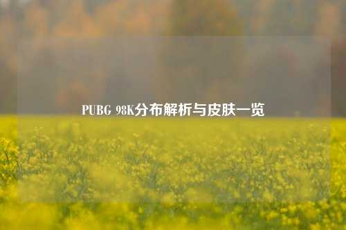 PUBG 98K分布解析与皮肤一览