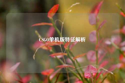 CSGO单机版特征解析