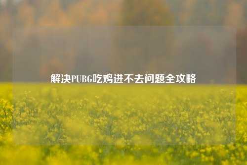 解决PUBG吃鸡进不去问题全攻略