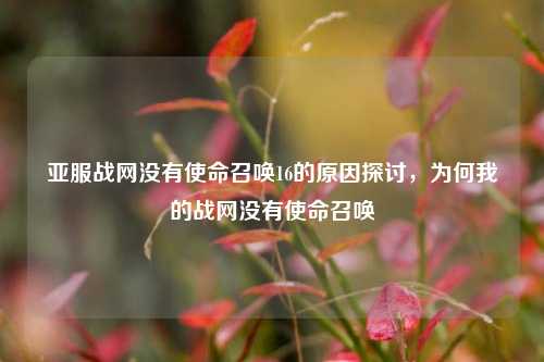 亚服战网没有使命召唤16的原因探讨,为何我的战网没有使命召唤
