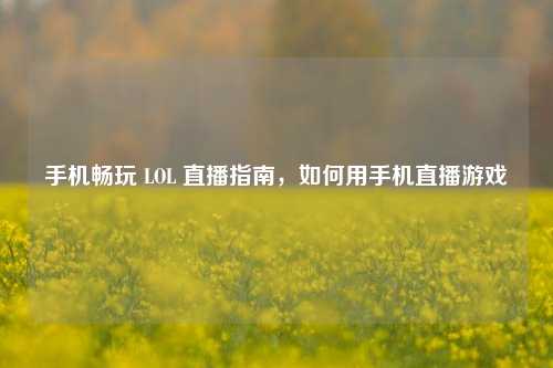 手机畅玩 LOL 直播指南，如何用手机直播游戏