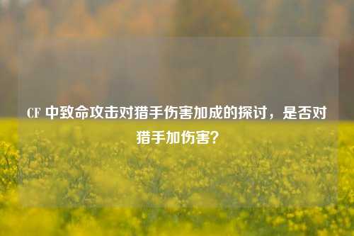 CF 中致命攻击对猎手伤害加成的探讨,是否对猎手加伤害?
