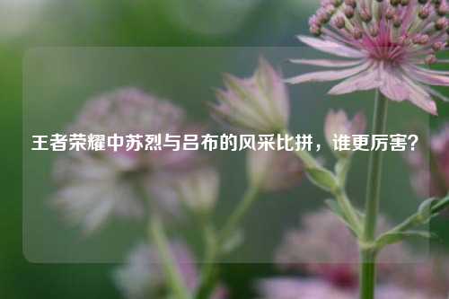 王者荣耀中苏烈与吕布的风采比拼,谁更厉害?