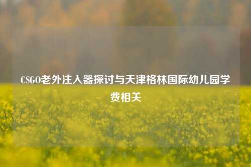 CSGO老外注入器探讨与天津格林国际幼儿园学费相关