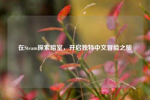 在Steam探索暗室,开启独特中文冒险之旅