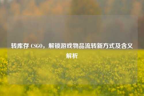 转库存 CSGO,解锁游戏物品流转新方式及含义解析
