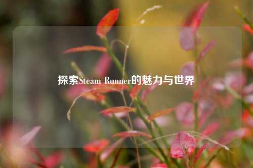 探索Steam Runner的魅力与世界