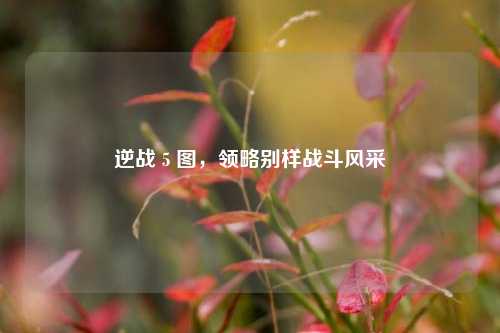 逆战 5 图,领略别样战斗风采