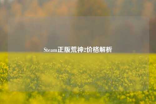 Steam正版荒神2价格解析