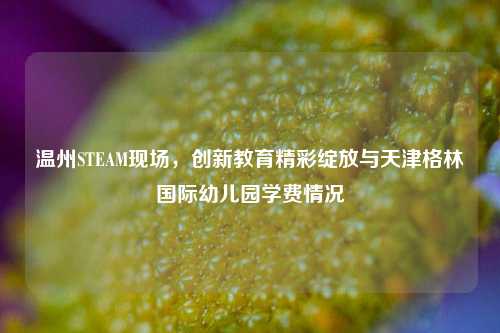 温州STEAM现场，创新教育精彩绽放与天津格林国际幼儿园学费情况