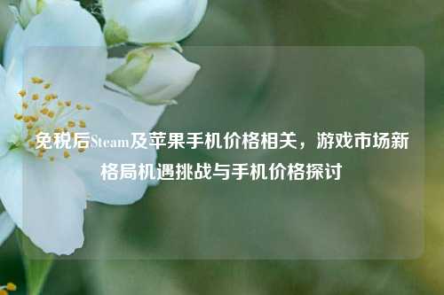 免税后Steam及苹果手机价格相关,游戏市场新格局机遇挑战与手机价格探讨