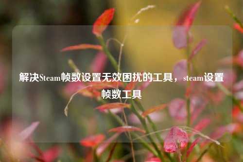 解决Steam帧数设置无效困扰的工具,steam设置帧数工具