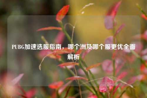 PUBG加速选服指南,哪个洲及哪个服更优全面解析