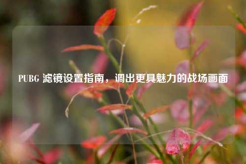 PUBG 滤镜设置指南,调出更具魅力的战场画面