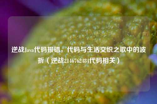 逆战Java代码报错,代码与生活交织之歌中的波折(逆战2146762484代码相关)