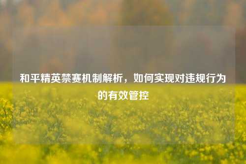 和平精英禁赛机制解析，如何实现对违规行为的有效管控