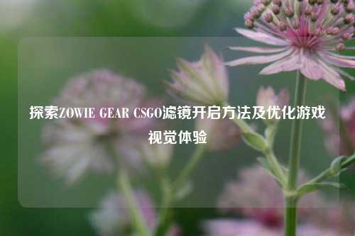 探索ZOWIE GEAR CSGO滤镜开启方法及优化游戏视觉体验
