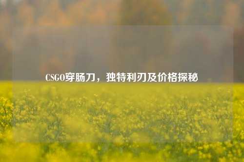 CSGO穿肠刀，独特利刃及价格探秘