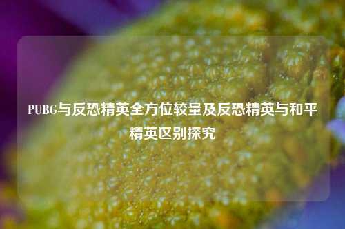 PUBG与反恐精英全方位较量及反恐精英与和平精英区别探究