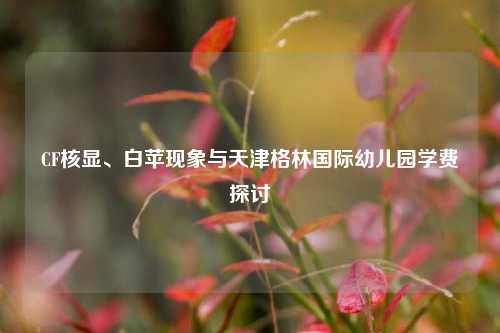 CF核显、白苹现象与天津格林国际幼儿园学费探讨