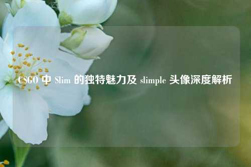 CSGO 中 Slim 的独特魅力及 slimple 头像深度解析