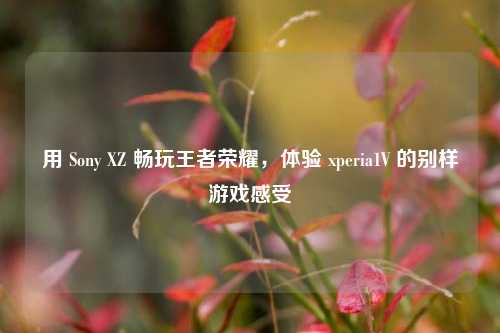 用 Sony XZ 畅玩王者荣耀，体验 xperia1V 的别样游戏感受