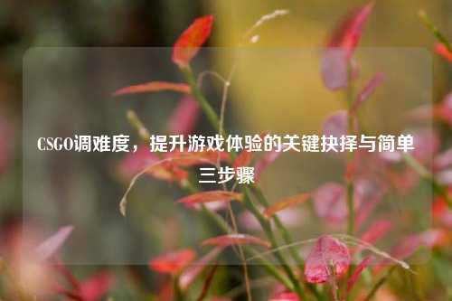 CSGO调难度，提升游戏体验的关键抉择与简单三步骤
