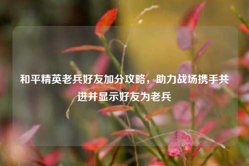 和平精英老兵好友加分攻略,助力战场携手共进并显示好友为老兵