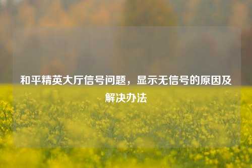 和平精英大厅信号问题，显示无信号的原因及解决办法