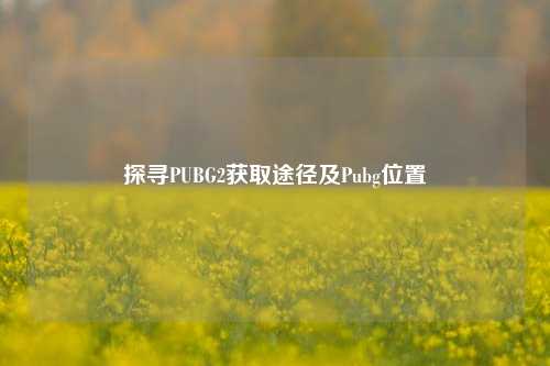 探寻PUBG2获取途径及Pubg位置