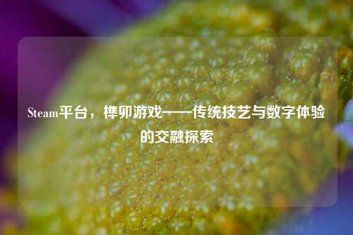 Steam平台，榫卯游戏——传统技艺与数字体验的交融探索