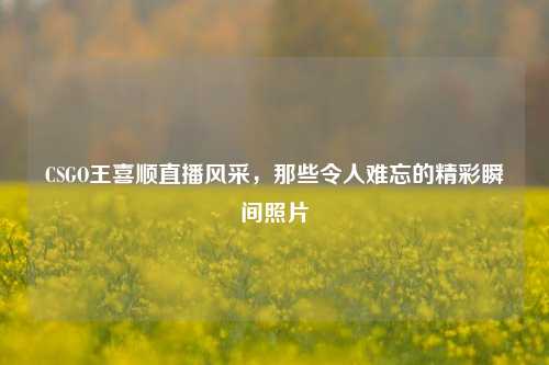 CSGO王喜顺直播风采，那些令人难忘的精彩瞬间照片