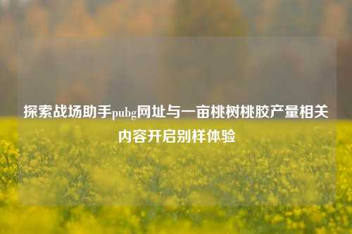 探索战场助手pubg网址与一亩桃树桃胶产量相关内容开启别样体验